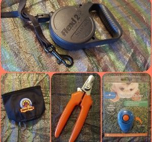 Dog retractable leash, training pouch, clippers